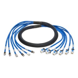N261-006-6MF-BL Augmented Cat6/Cat6a Pre-Terminated Copper Trunk Bundle, (6x) RJ45 (M/F), 6 ft.