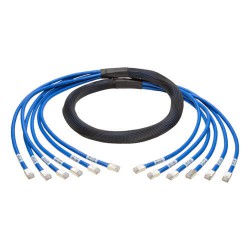 N261-006-6MM-BL Augmented Cat6/Cat6a Pre-Terminated Copper Trunk Bundle, (6x) RJ45 (M/M), 6 ft.
