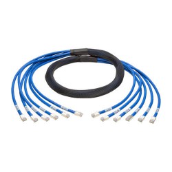N261-010-6MM-BL Augmented Cat6/Cat6a Pre-Terminated Copper Trunk Bundle, (6x) RJ45 (M/M), 10 ft.