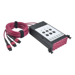 N482-3M8L12-B 40/100Gb OM4 Fiber Breakout Cassette with Built-In MTP Cables, 40Gb to 4 x 10Gb, 100Gb to 4 x 25Gb, (x3) 8-Fiber OM4 MTP/MPO to (x12) LC Duplex