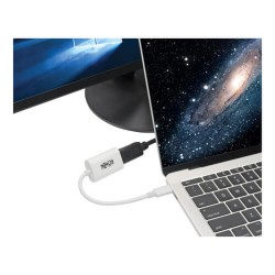 U444-06N-DP4K6W USB-C to DisplayPort Adapter – Thunderbolt 3, 3840 x 2160 (4K x 2K) @ 60 Hz, White