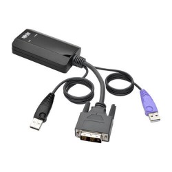 B055-001-UDV NetDirector DVI USB Server Interface Unit with Virtual Media and CAC Support (B064-IPG Series), USB an